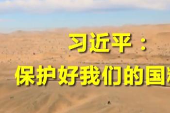 习近平:保护好我们的国粹