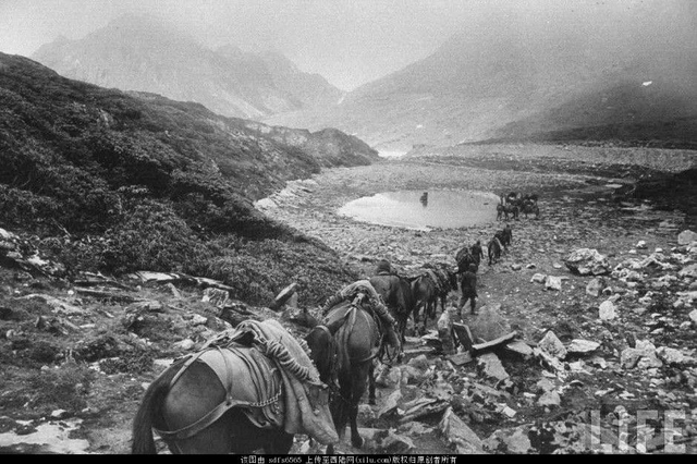 美国人拍的中印战争照片,触目惊心震动世界