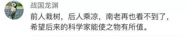 告慰南老!中国FAST望远镜首次发现脉冲星