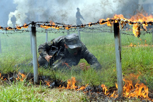 领略强军风范！一组图片真实记录中国军队崭新风貌