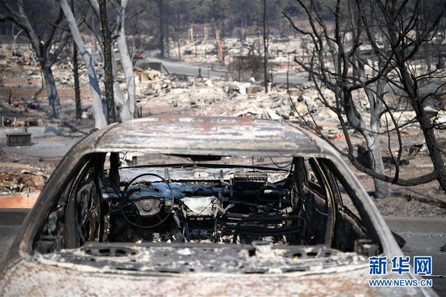 加州北部森林大火已造成35人死亡