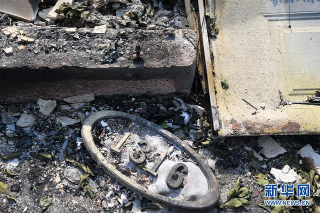 加州北部森林大火已造成35人死亡