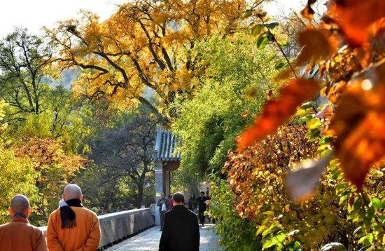 柳智宇出家十年的所在地
，北京龙泉寺。（视觉中国 / 图）