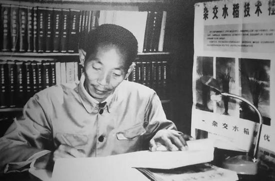  袁隆平水稻博物馆内，一张袁隆平在安江农校撰写论文的照片。新京报记者 王飞 摄