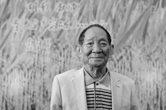  2019年10月12日，袁隆平在湖南省国家杂交水稻工程技术研究中心留影。新京报记者 王飞 摄