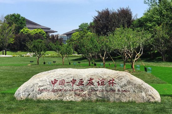 △位于中国西安的中国－中亚友谊林