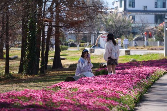  1月17日，游客在古生村生态廊道拍照留念。（赵志伟 摄）