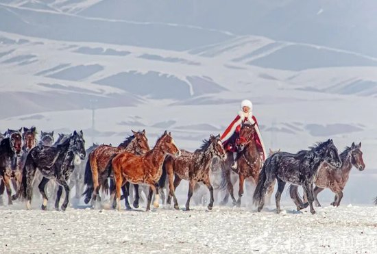  2020年12月31日，贺娇龙在昭苏县天马旅游文化园策马雪原，为家乡宣传。李文武摄