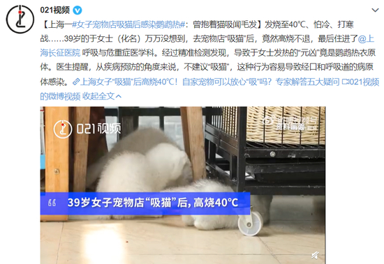 新闻截图
