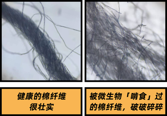 图片来源：作者拍摄