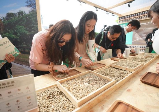 9月19日，在星巴克中国咖啡创新产业园开园仪式现场，来宾在体验挑拣咖啡生豆。当日，星巴克中国咖啡创新产业园在江苏昆山落成投产。
