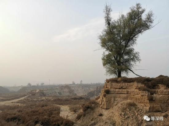 海威工厂附近的沙坑，曾经是村民的耕地。 《等深线》记者 李城 摄