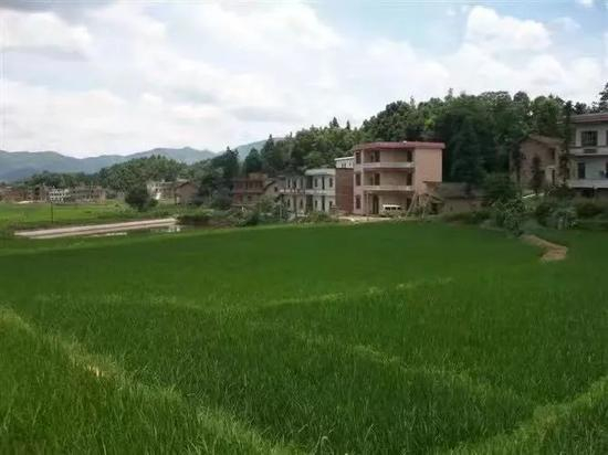  结婚前，宁顺花从家里拍的村里一角。受访者供图