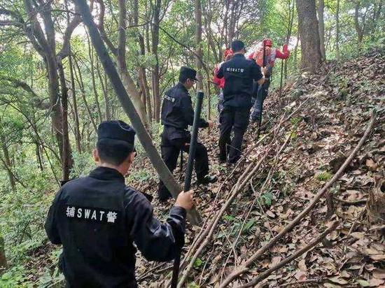 （图说：搜救人员在山上寻找金钱豹 来源：浙江新闻客户端）