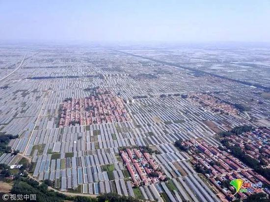  航拍寿光蔬菜大棚（图源：视觉中国）