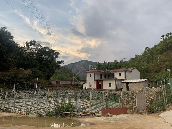 凌晨，象群从戎桂芳家房屋背后的山林下山，闯进她家客厅。高佳摄