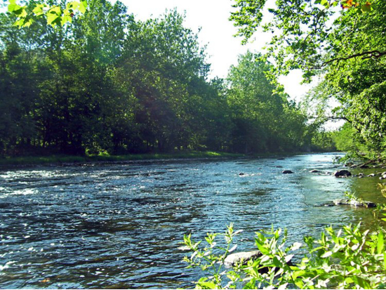 龙泉寺附近的内瓦辛克河（Neversink River）（图片来源：Wikimedia）