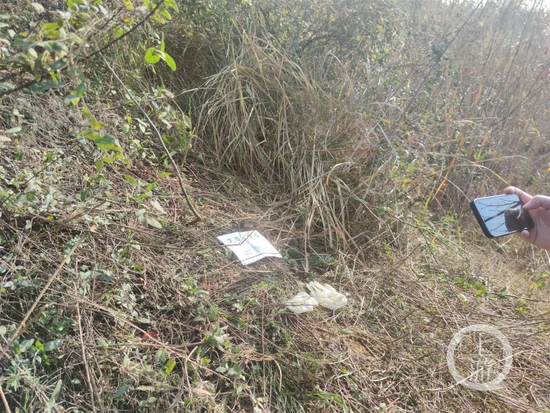 ▲12月18日，吕女士躲在草丛中，被偷猎者当成猎物，遭枪击后死亡。摄影/上游新闻记者 沈度