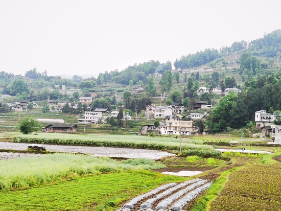 贵州省绥阳县黄杨镇的清溪村。 澎湃新闻记者 朱远祥 图&nbsp;