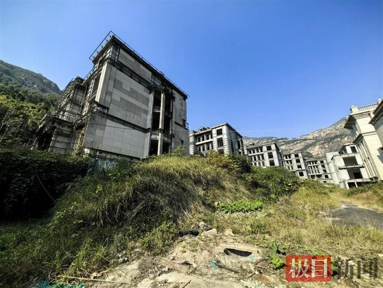 家景罗山蓝岸A地块内长满荒草的土堆