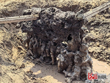 闪电惊雷过后，河北衡水麦田出现怪石，河北地质大学专家判定其为“闪电熔岩”，属罕见自然现象