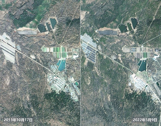（伊春林区卫星对比图）