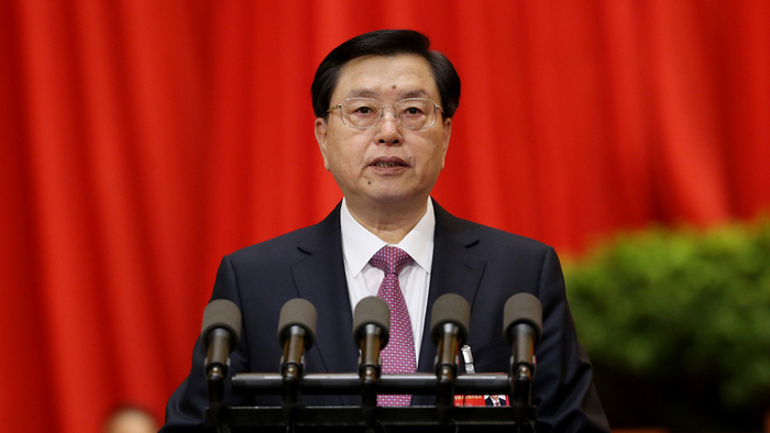 全国人大常委会委员长张德江作全国人民代表大会常务委员会工作报告。