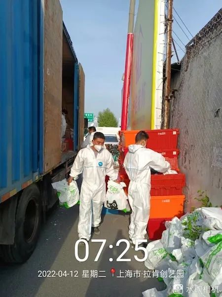 快递配送到路边临时站点后，快递员们分拣后送往各小区