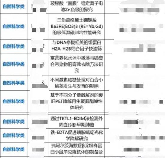 网友晒出的中小学科创项目名单