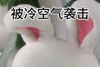 美丽不冻人，冬天配饰都戴起来暖暖过冬！