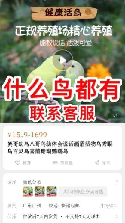  （图源网络）