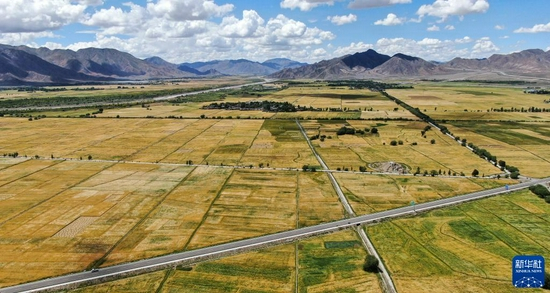 俯瞰西藏日喀则市白朗县的农田（2019年8月31日摄，无人机照片）。新华社记者 晋美多吉 摄