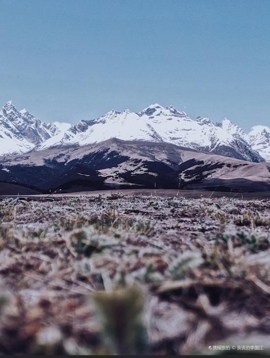 海拔4000米之上，理塘的雪山与草原。