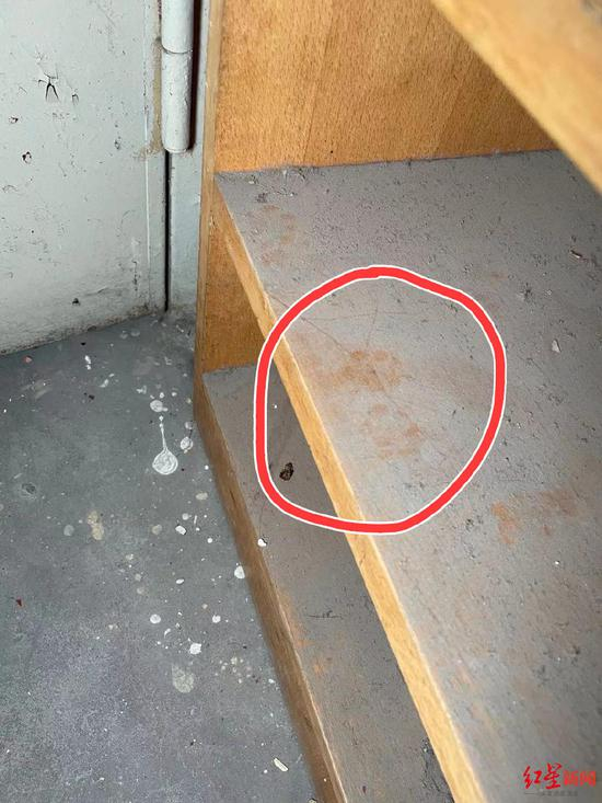  ▲像侦探一样找到猫咪的爪印是找猫必备环节