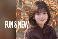 刚刚过去的春节，年轻人们都回到老家当起了“一日村长”