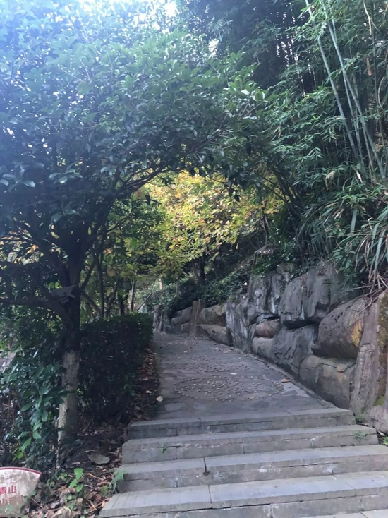 公园里，树木遮住了外界的视线（李晓洁&nbsp;摄）