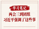 学习笔记丨两会三到团组，习近平强调了这些事