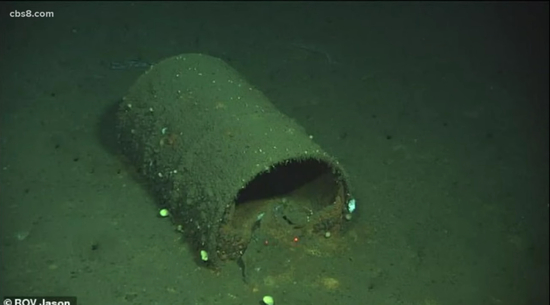  图片来源：CBS8视频截屏