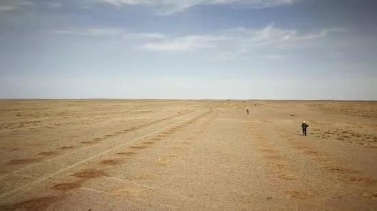  沈永保在荒滩上为梭梭树打坑种植。受访者供图。