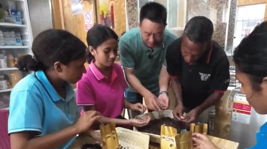 △随着东帝汶咖啡在中国的知名度逐渐提升，越来越多东帝汶咖啡企业计划进入中国市场。