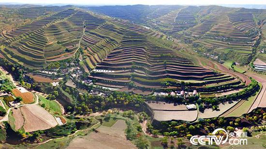 甘肃省定西市安定区的梯田美如画。（安定区委宣传部供图）