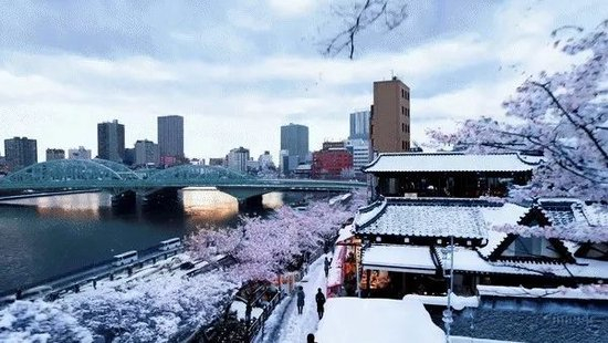 Sora示范视频。提示词：“美丽多雪的东京城热闹非凡。镜头穿过熙熙攘攘的城市街道，跟随几位正在享受美丽雪景和在附近摊位购物的人们。绚丽的樱花花瓣与雪花一起随风飞舞。” 来源：OpenAI官网