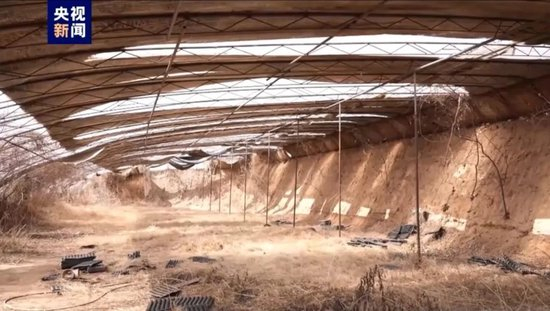  埋尸的蔬菜大棚 / 图源：央视新闻