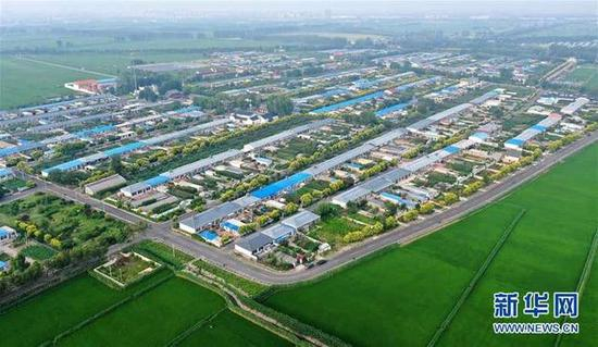 这是盘锦市大洼区大堡子村的全貌（7月21日摄，无人机照片）。新华社记者 姚剑锋&nbsp;