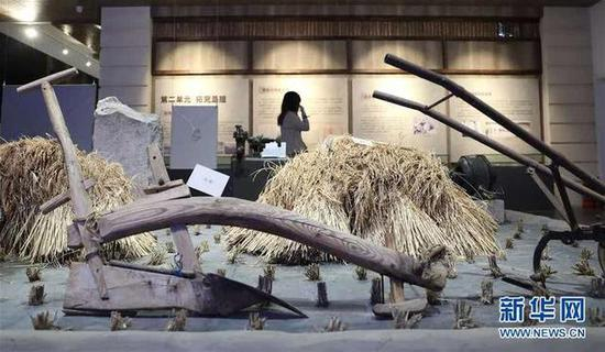 这是盘锦市大洼区荣兴村稻作人家民俗村荣兴博物馆里展出的早年水稻耕种工具（7月16日摄）。新华社记者 姚剑锋 摄