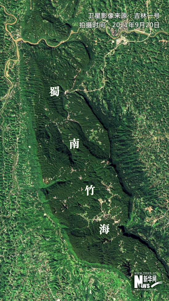  ▲卫星视角下的蜀南竹海。卫星影像来源：吉林一号