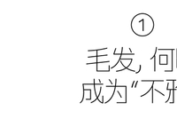 “毛”大的事，为什么也能引起广泛讨论上热搜