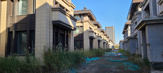  2021年秋季，烂尾的天津海湾财富中心别墅内杂草丛生，美丽外观掩不住荒凉。