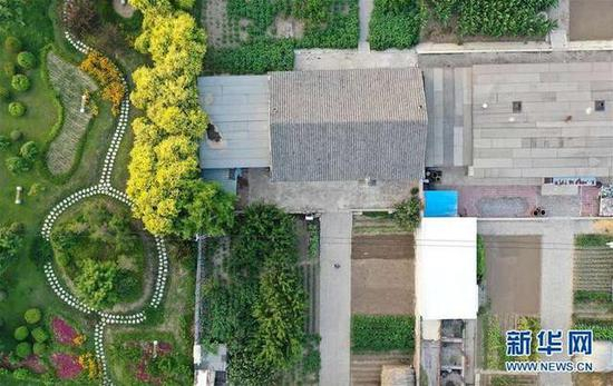 这是盘锦市大洼区大堡子村局部（7月21日摄，无人机照片）。 新华社记者 姚剑锋 摄