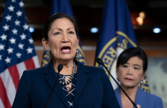 德布·哈兰德。来源：纽约时报